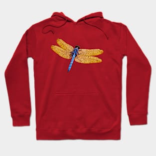 Blue and Gold Dragonfly Hoodie